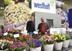 Christian Westhoff and Bart Hayes of Westhoff.  Calibrachoa Calitastic Cappuccino (the calibrachoa in the back) is one of their highlights at their booth, which is introduced this year. Although it is sold out in Europe for this season there are young plants available exclusively from Jolly Farmer for customers in North America this spring.
